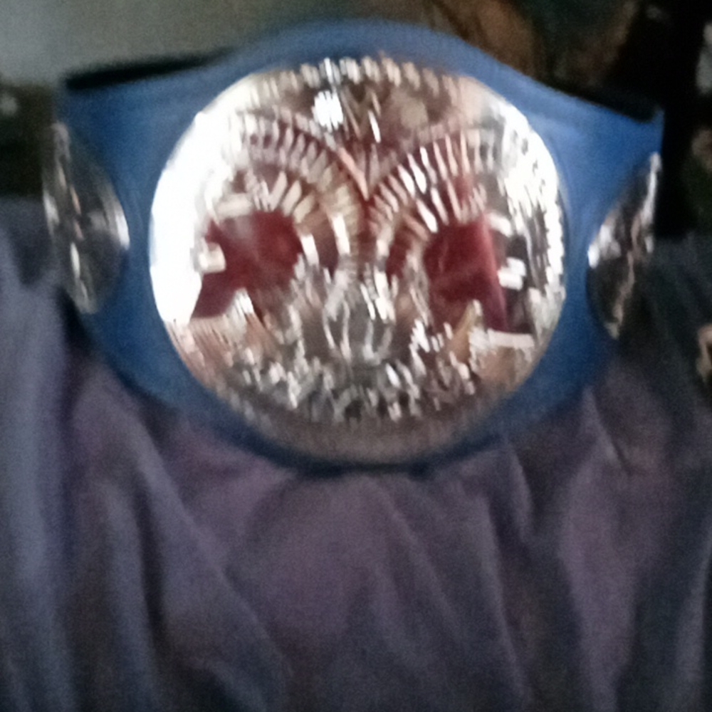 WWE SMACKDOWN TAG TEAM TITLE BELT